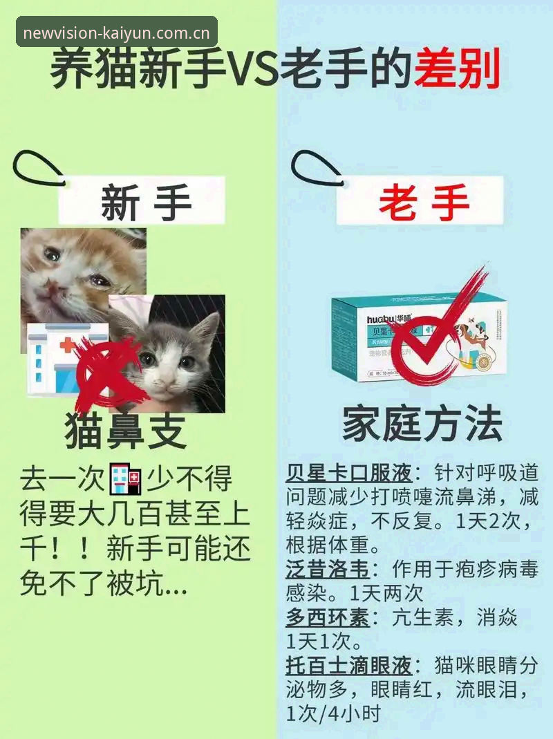 最新开云中国官网 新手vs老手挑开云中国官网:避开这3个坑,你也能找到靠谱入口
